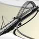 Riverlife Westend Pedestrian Bridge Competition