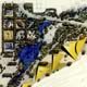 UC Davis Arboretum Competition